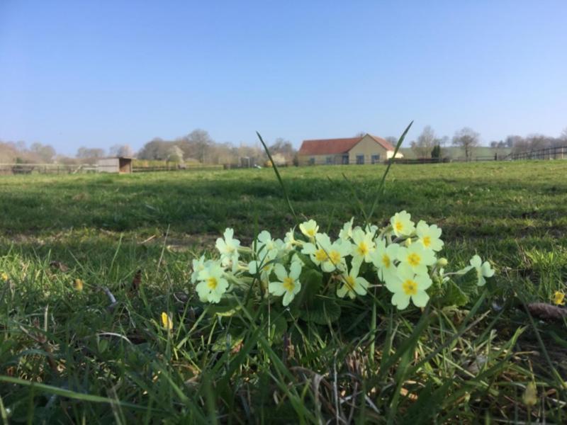 DrageyLa Bretonniere住宿加早餐旅馆 外观 照片